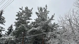 Чувашию накроет волна смешанных осадков и гололеда 20 декабря