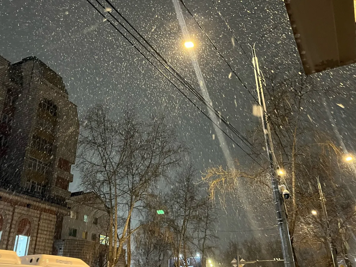 Челябинскую область 10 ноября накроют ночные заморозки и дневной мокрый снег