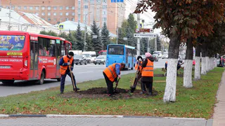 В Рязани высадят 70 тысяч растений