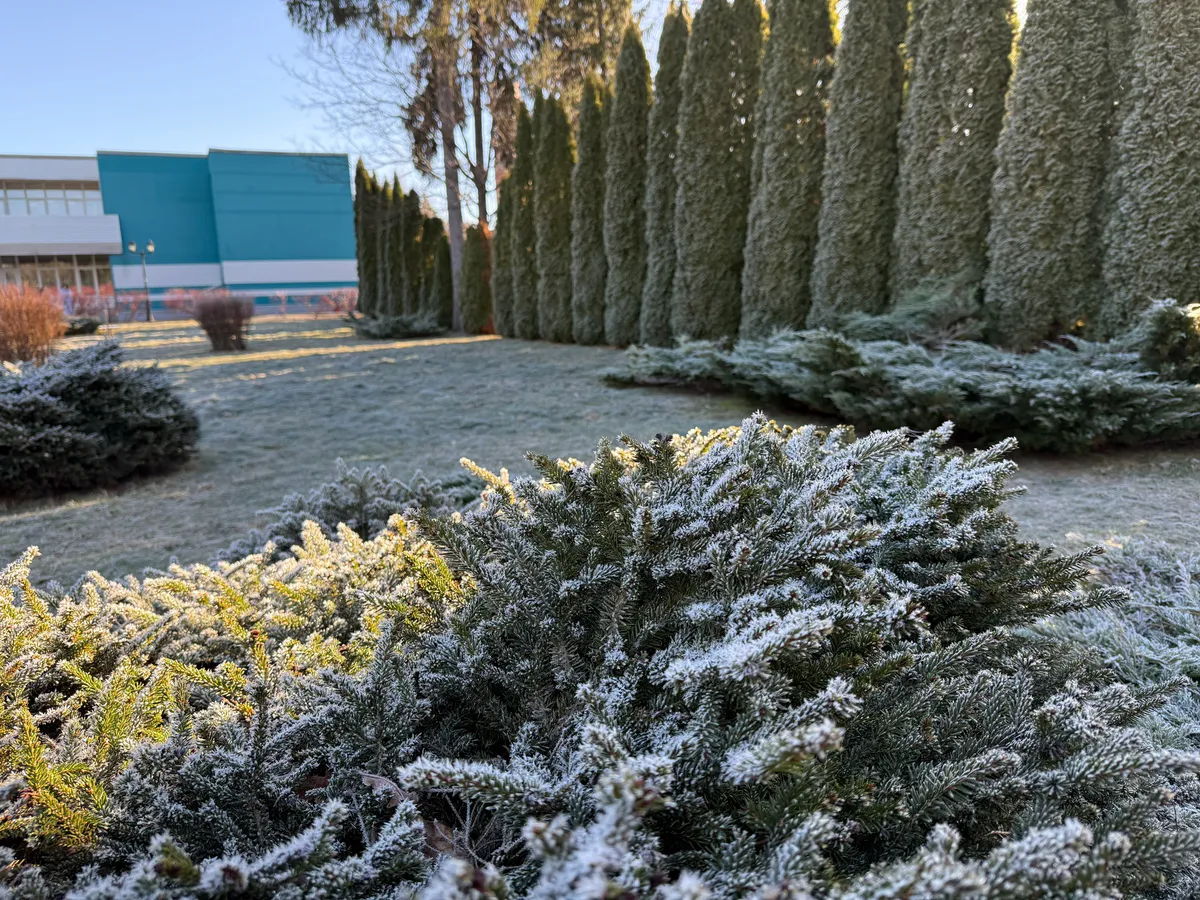 «С 24 мая начнется то, чего не было с 1938 года». Синоптики сказали, что придет