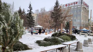 В Рязани заработали 2 ёлочных базара