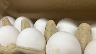 Около 50 тысяч куриных яиц пытались незаконно вывезти из Челябинской области