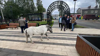 В Сыктывкарском поселке завершается благоустройство сквера с ротондой и мостиком