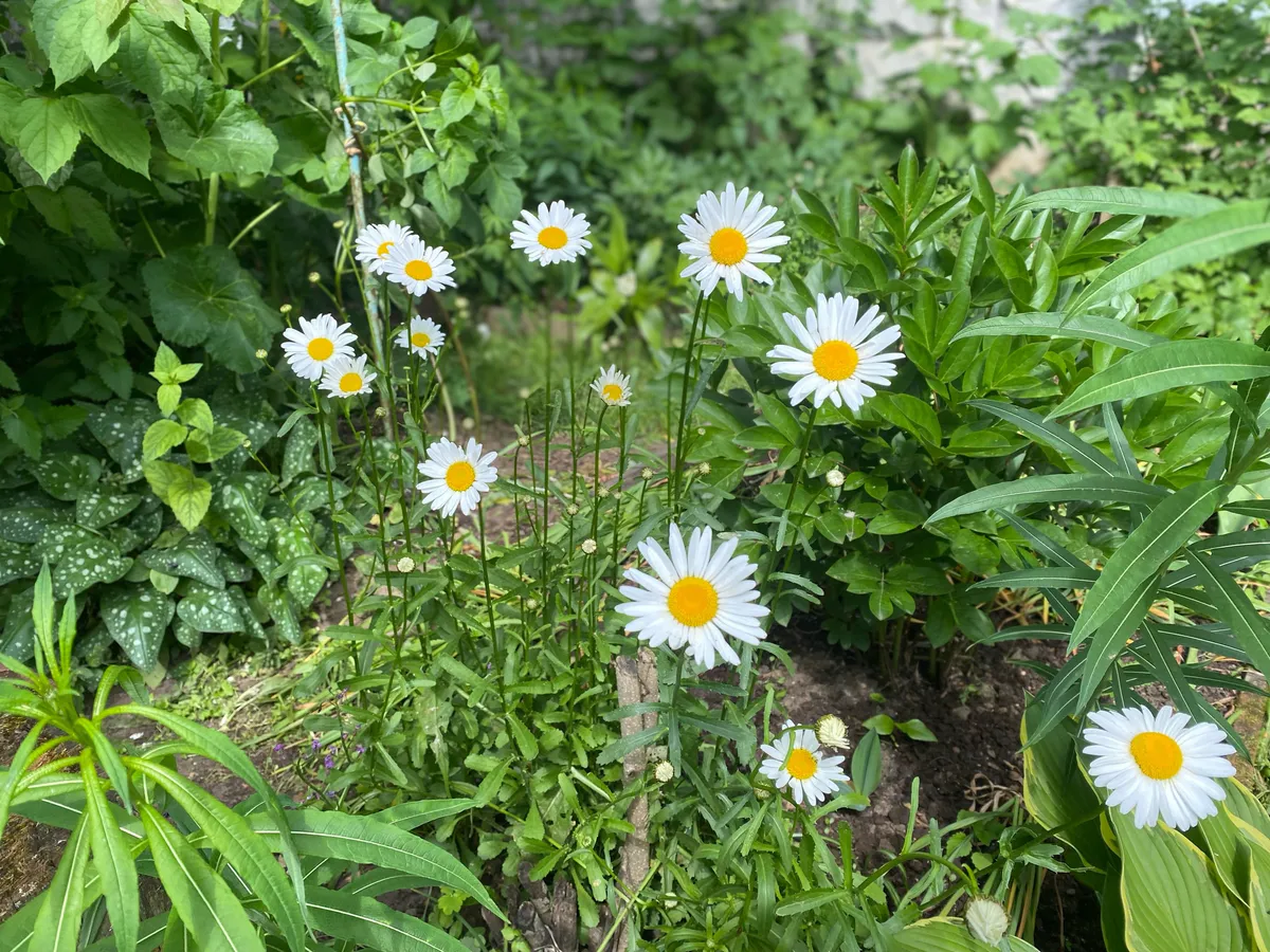Гороскоп на 26 июня предупреждает о возможном разочаровании в людях и советует действовать осмотрительно