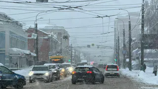 Езжу много лет — а эти пункты ПДД пропустил: ошибка встречается у каждого второго