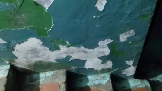 «Отштукатурили зеленкой»: состояние подъездов в Нижнекамске ужасают