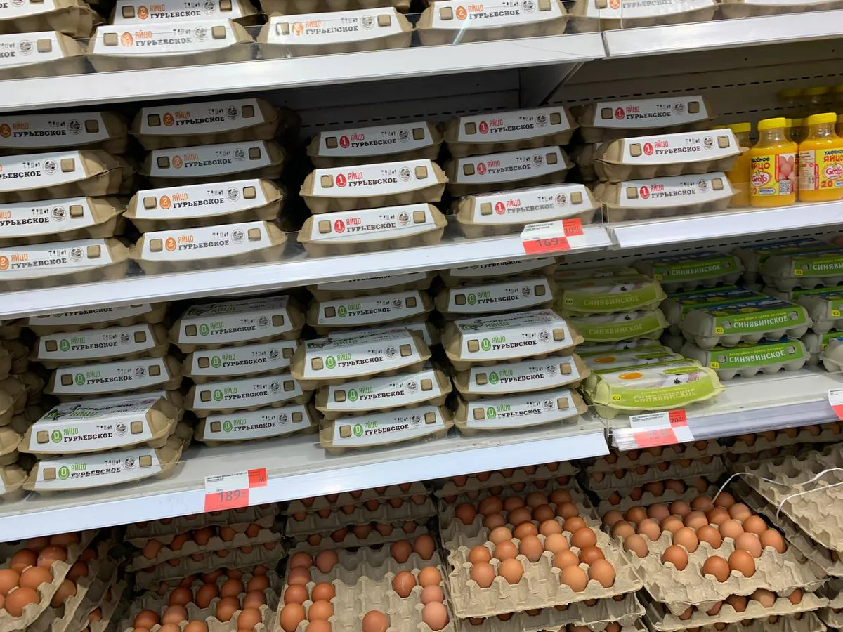 Конвейерные пустышки: в Роскачестве назвали бренды яиц из "черного списка" - не покупайте на завтрак