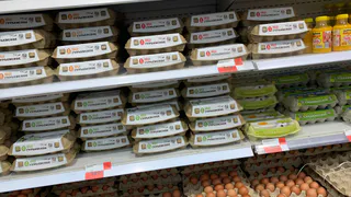 Конвейерные пустышки: в Роскачестве назвали бренды яиц из "черного списка" - не покупайте на завтрак