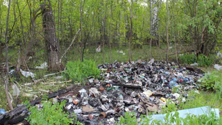 Снова "Дикая утка": окрестности озера завалили строительным мусором