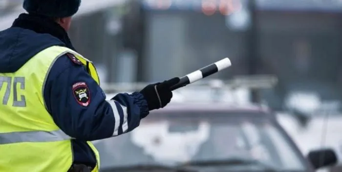 Сами виноваты