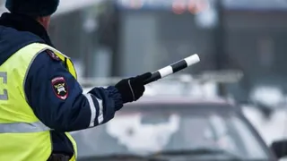 Сами виноваты