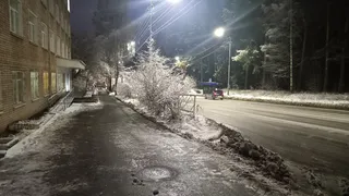 В Рязани 16 декабря ожидается метель и гололедица