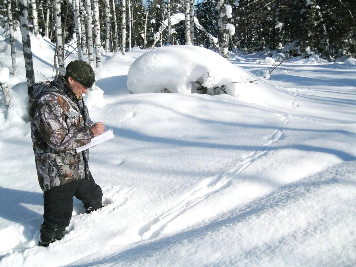 Магнитогорцам напомнили, как вести себя при встрече с дикими животными