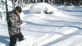 Магнитогорцам напомнили, как вести себя при встрече с дикими животными