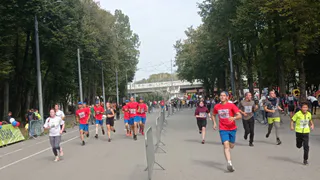 В 2024 году в Рязанской области состоится фестиваль ГТО