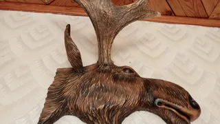 Житель Татарстана оштрафован на 80 тысяч рублей за убийство лося