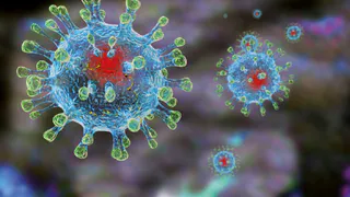 В Брянской области за сутки было подтверждено 93 случаев Covid-19