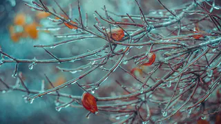 В четверг в Рязани ожидается резкое похолодание