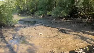 Во Владимире начали осушать пруды у Дворца детского и юношеского творчества