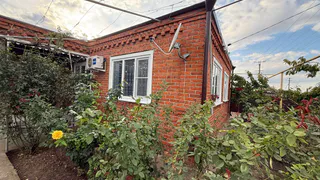 Грядки забудут про петунии: новый любимчик дачников заполняет кашпо как живой водопад