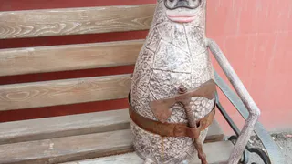 Неизвестные разграбили рязанский "гриб с глазами"