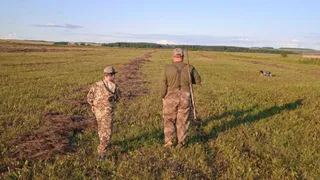 Во Владимирской области назвали даты начала охоты на дичь