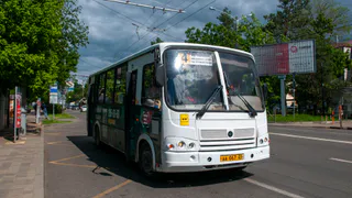 Мэрия Рязани опровергла закупку 156 поддержанных автобусов