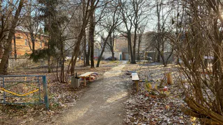 Аномальное тепло сменится резким похолоданием: синоптики предупредили рязанцев о ноябрьских морозах