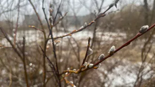 В Челябинской области ожидается потепление до +9 градусов и отсутствие осадков