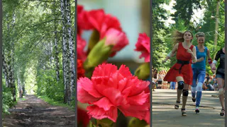 Только хорошие новости - подборка от Pro Города