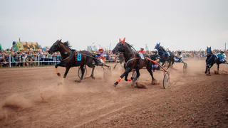 В конных бегах в Новочебоксарске примут участие наездники со всей страны