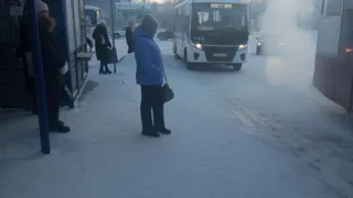 Заморозки и снег скуют Центральную Россию намного раньше: синоптики сообщили точную дату