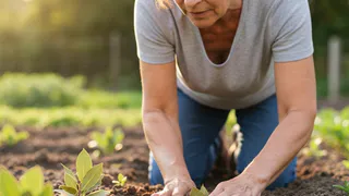 Закопала лавровый лист на огороде — вздохнула с облегчением на душе: теперь делаю так каждую осень