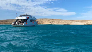 Кошмар на круизном теплоходе по Волге: как пассажиры стали бесплатной рабочей силой – честный отзыв туристки