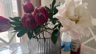 Самый популярный домашний цветок, оказывается, приносит в дом несчастье и горе