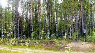 Кладбище одного спецпоселения Коми стало объектом культурного наследия