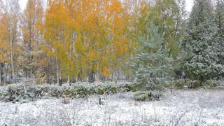 В Чувашии в пятницу ожидается первый снег и сильный ветер