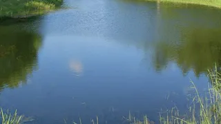 В Трубчевском районе утонул 61-летний мужчина