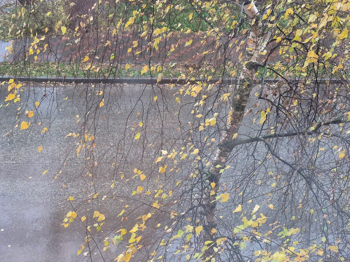 Короткая рабочая неделя начнется с дождя и ветра для нижнекамцев