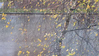 Короткая рабочая неделя начнется с дождя и ветра для нижнекамцев