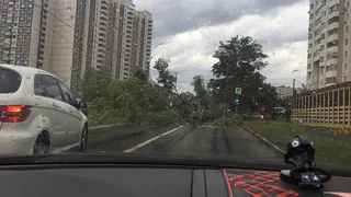 Instagram-подборка: На Москву обрушился сильнейший ураган