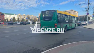 В 2025 году в области погибло 28 пешеходов