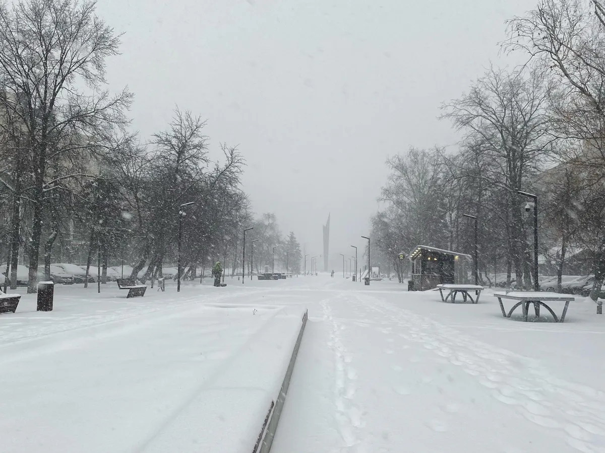 Такой весны в январе никогда ещё не было: Роман Вильфанд озвучил новый прогноз на конец месяца