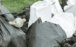 Очищение сквера «Патриот»: пример того, как инициативы граждан могут сподвигнуть власти к наведению порядка