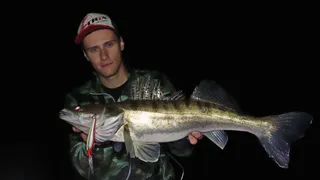 Вот это да: рязанец поймал судака весом более 9 килограмм