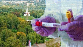 На Брянщине за сутки сделали 1 597 тестов