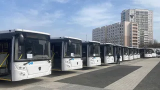 В Пензе приняли решение не перекрашивать в зеленый цвет новые автобусы