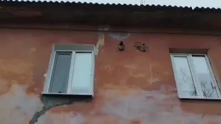 Жители Гусь-Хрустального бьют тревогу: на стенах их дома появились трещины, а грунт вблизи проваливается