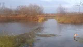 Жители Скопинского района пожаловались на паводок