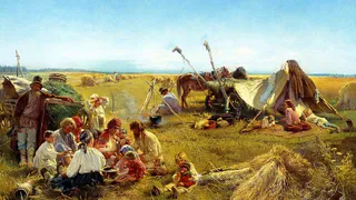 Урожайность хлебов на Брянщине составила 40,1 центнеров с гектара